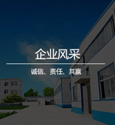 企業(yè)風(fēng)采