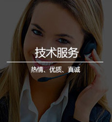 技術(shù)服務(wù)